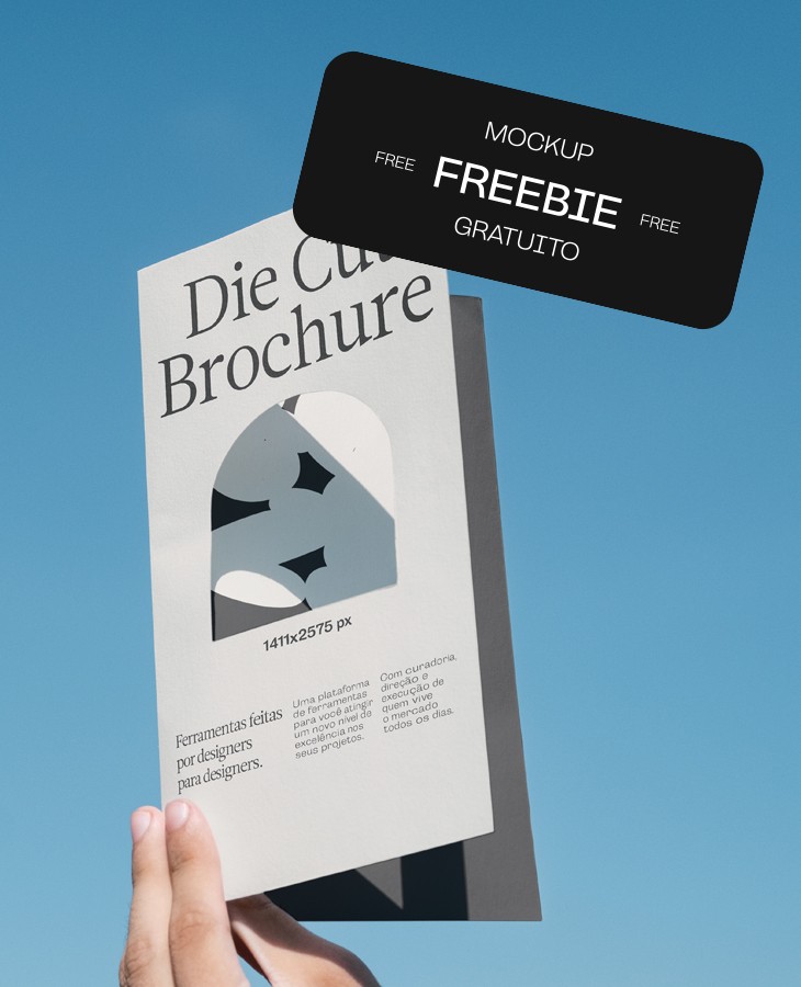 Die Cut Brochure 01